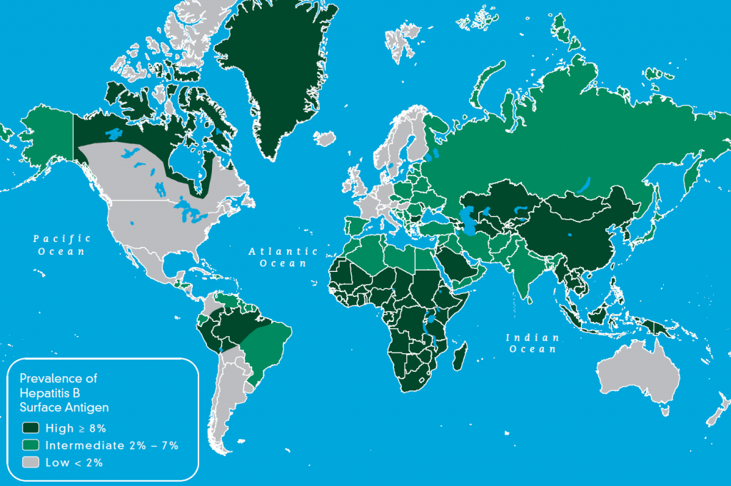 map3-4-prevalence-chronic-infection-hepatitis-b-large